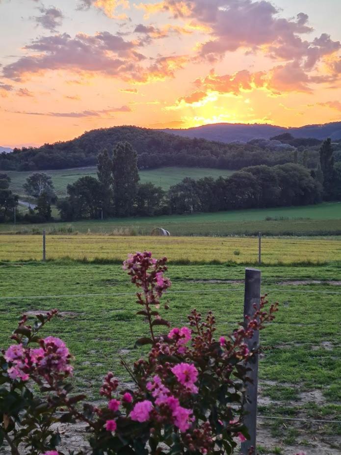 Gite De Charme La Martinelle La Bégude-de-Mazenc Esterno foto
